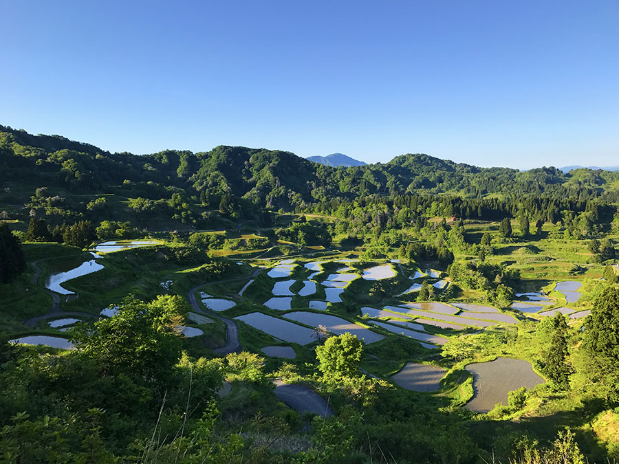 星峠の棚田