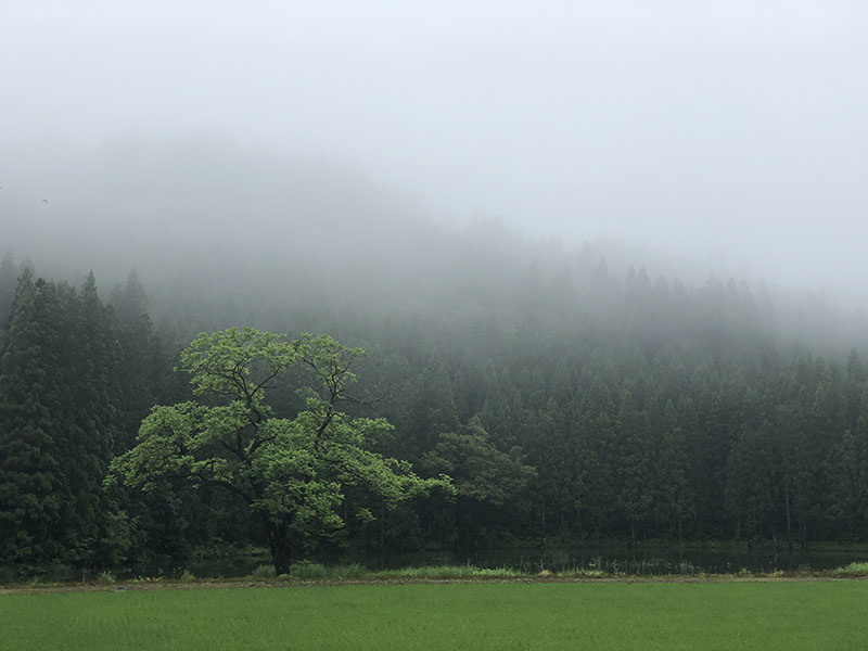 魚沼の風景