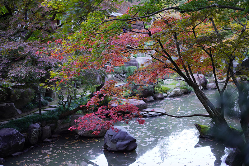 徳明園