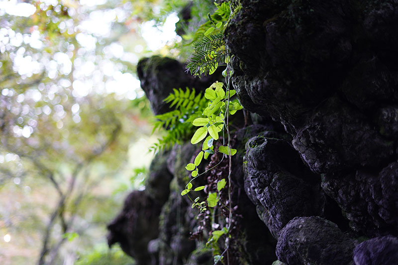 徳明園