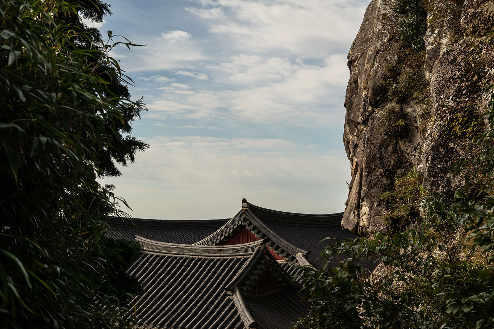 南海 錦山菩提庵