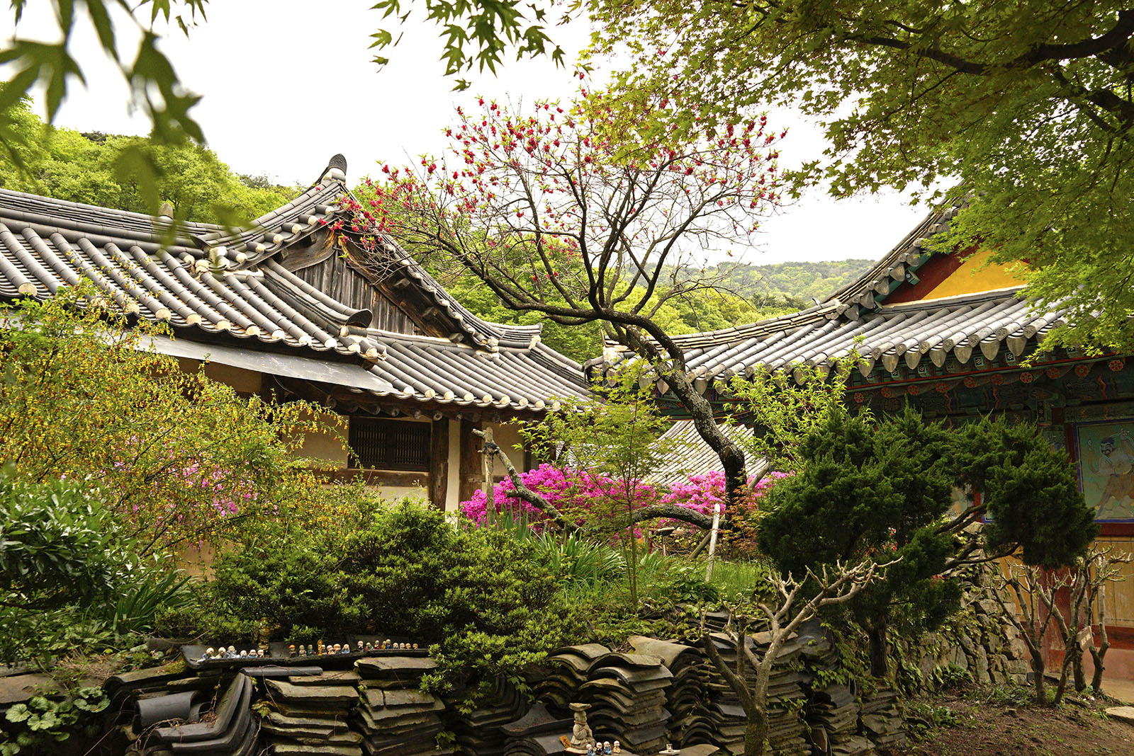 Gaesimsa Temple spring landscape