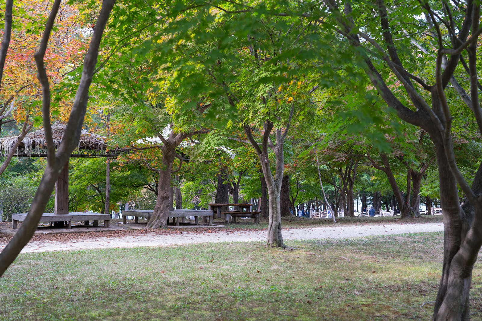 Korea Namiseom