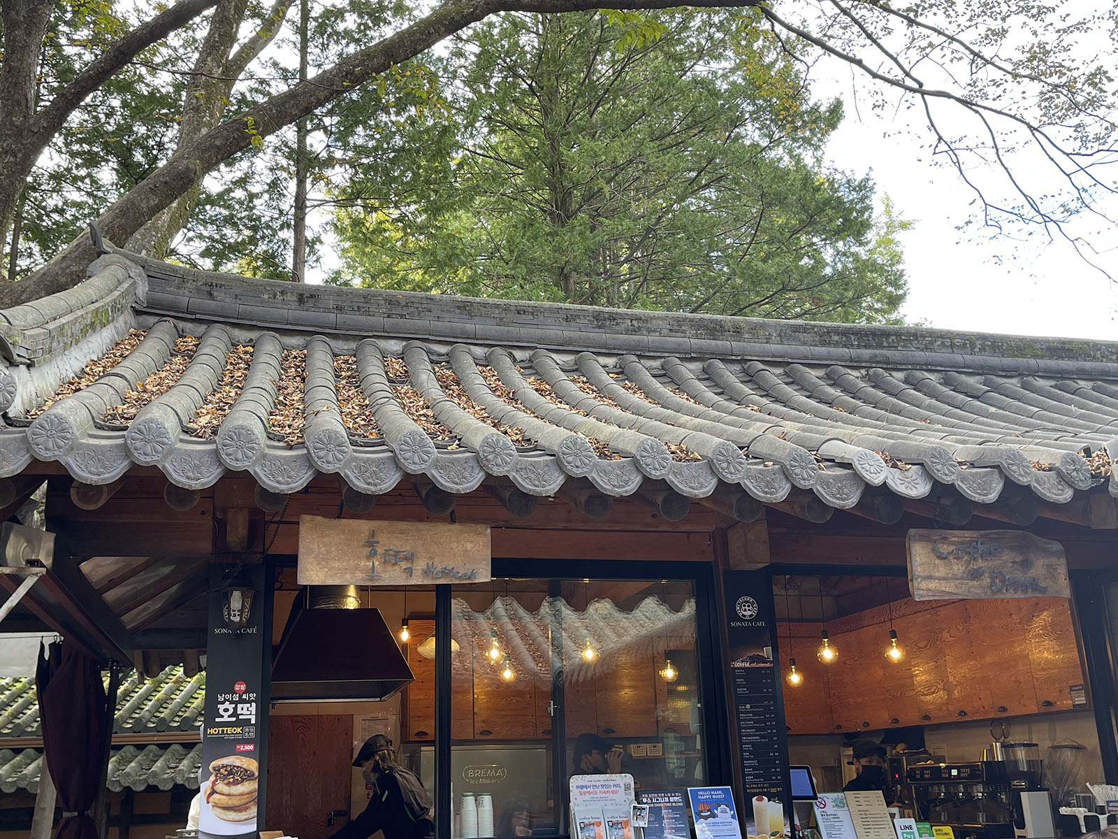 南怡島(ナミソム)